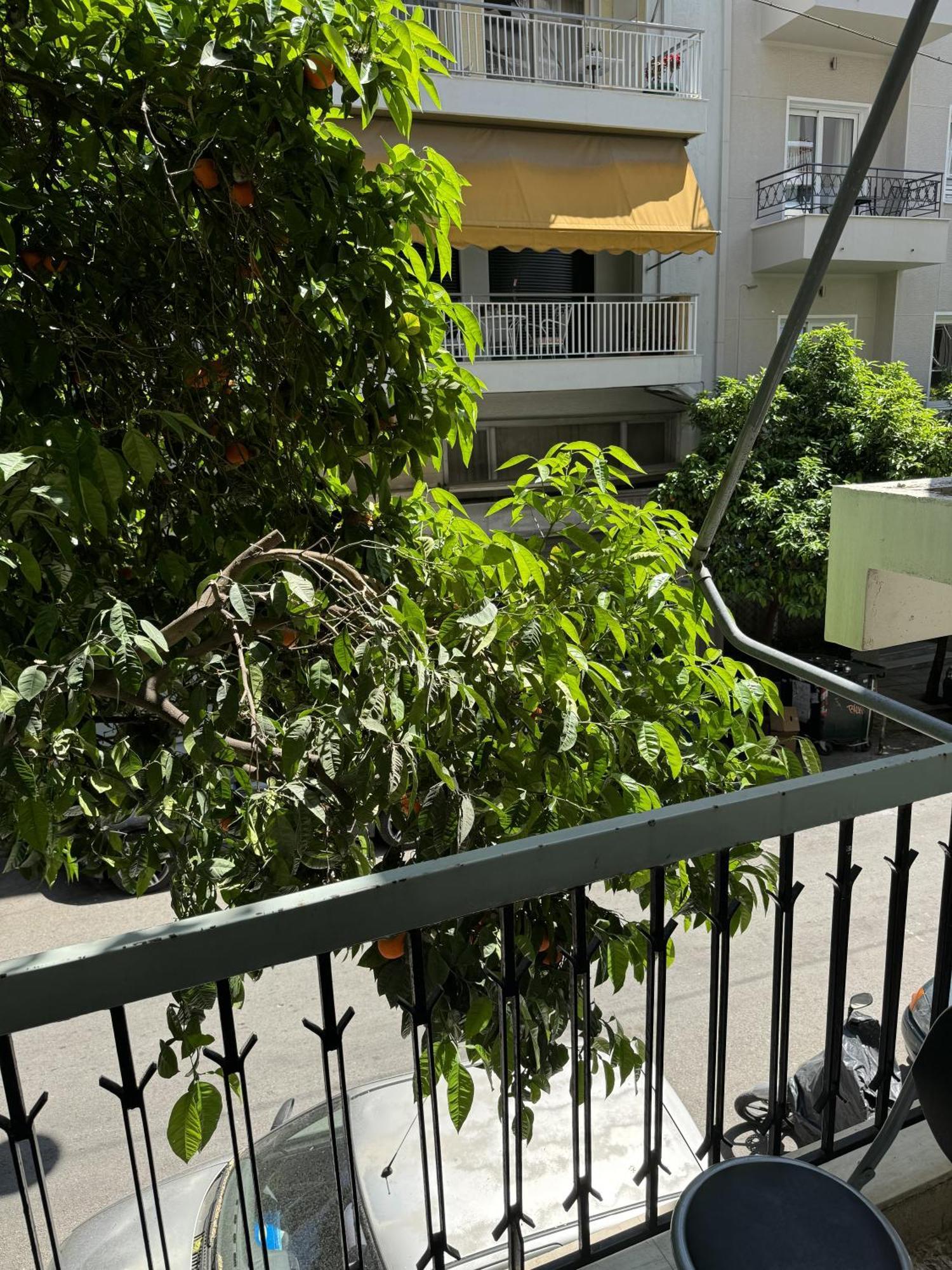 Cozy Apt Next To Acropolis Атина Екстериор снимка